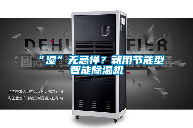 “濕”無忌憚？就用節能型智能除濕機