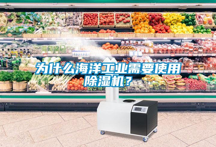 為什么海洋工業需要使用除濕機？