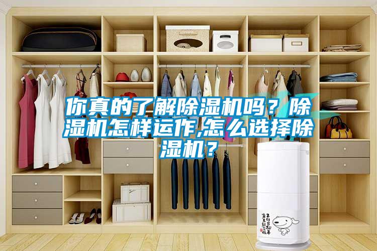 你真的了解除濕機嗎？除濕機怎樣運作,怎么選擇除濕機？