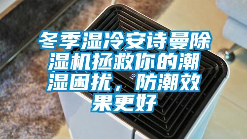 冬季濕冷安詩曼除濕機拯救你的潮濕困擾，防潮效果更好