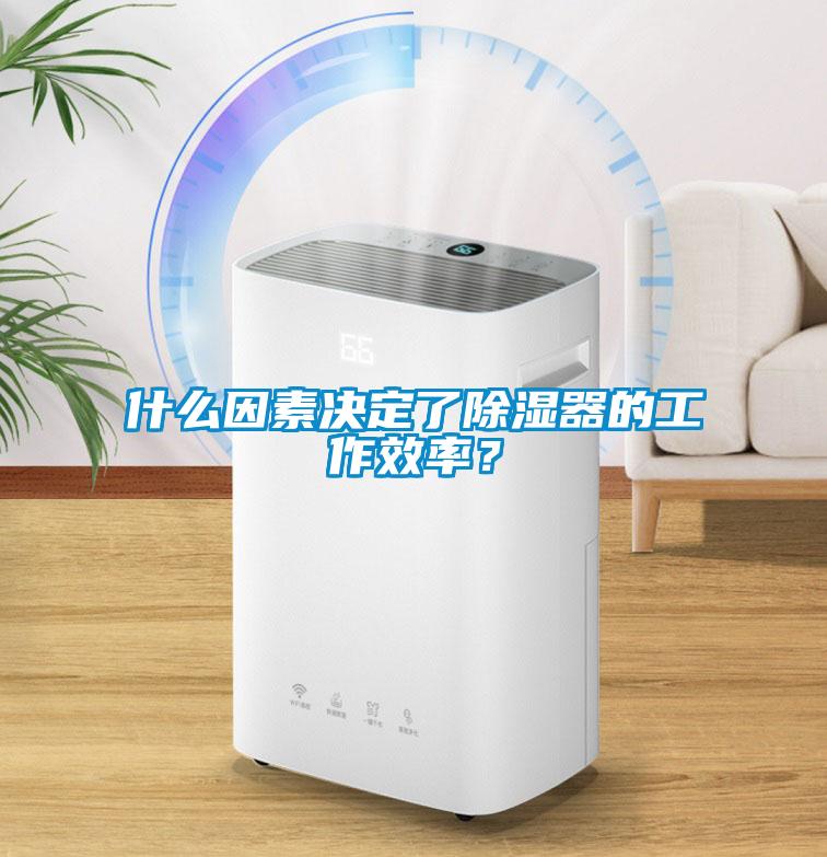 什么因素決定了除濕器的工作效率？