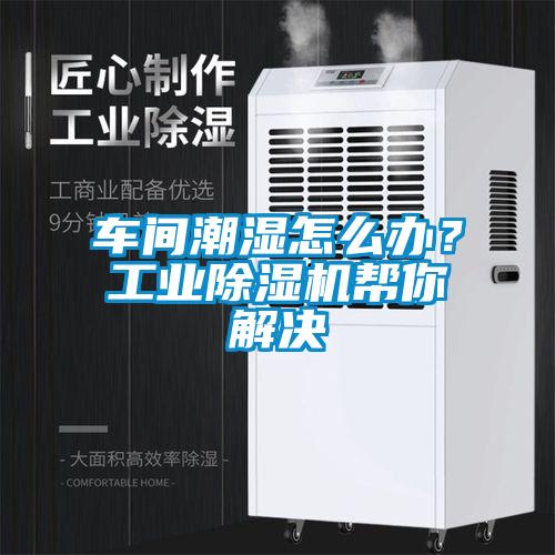 車(chē)間潮濕怎么辦？工業(yè)除濕機(jī)幫你解決