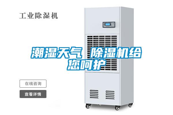 潮濕天氣 除濕機給您呵護