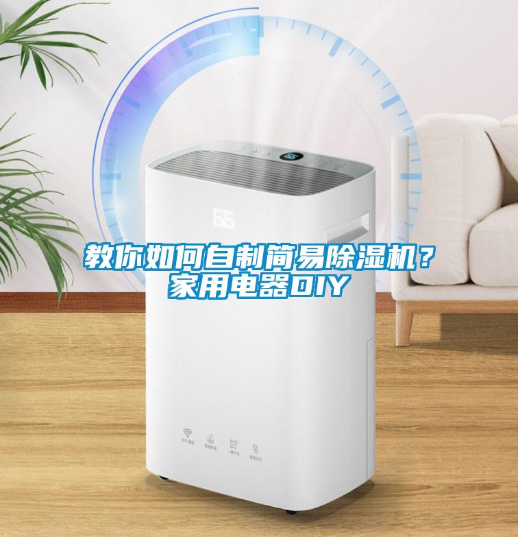 教你如何自制簡易除濕機？家用電器DIY