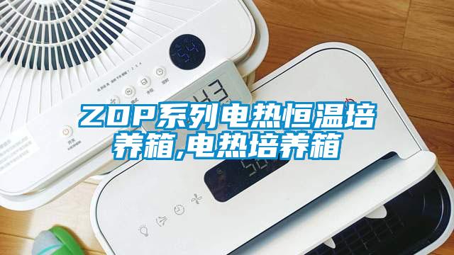 ZDP系列電熱恒溫培養箱,電熱培養箱