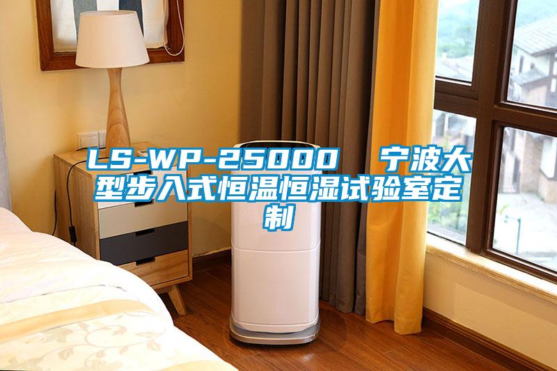 LS-WP-25000  寧波大型步入式恒溫恒濕試驗室定制