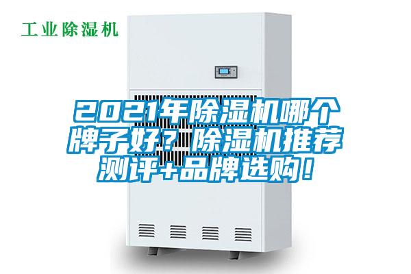 2021年除濕機哪個牌子好？除濕機推薦測評+品牌選購！