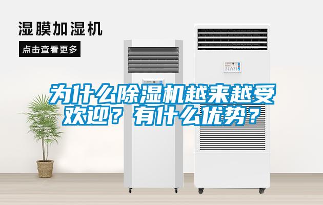 為什么除濕機越來越受歡迎？有什么優(yōu)勢？