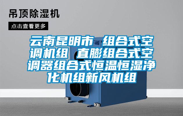 云南昆明市 組合式空調機組 直膨組合式空調器組合式恒溫恒濕凈化機組新風機組