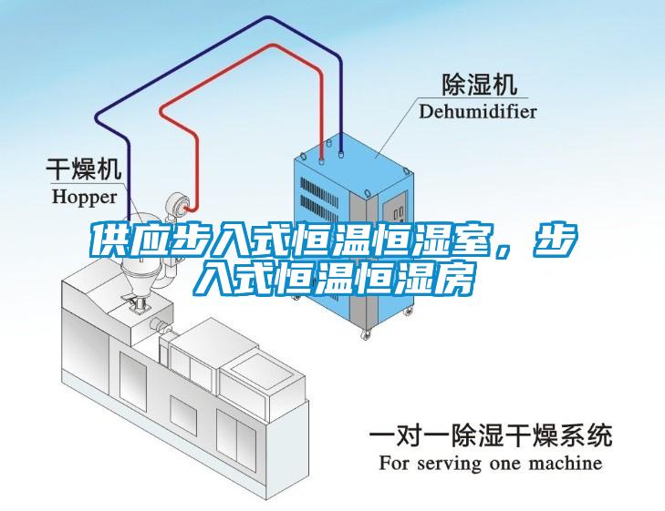 供應步入式恒溫恒濕室，步入式恒溫恒濕房