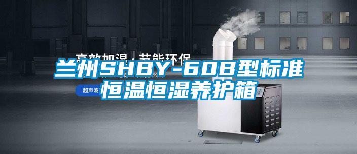 蘭州SHBY-60B型標準恒溫恒濕養護箱