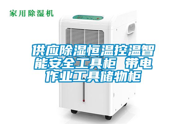 供應除濕恒溫控溫智能安全工具柜 帶電作業工具儲物柜