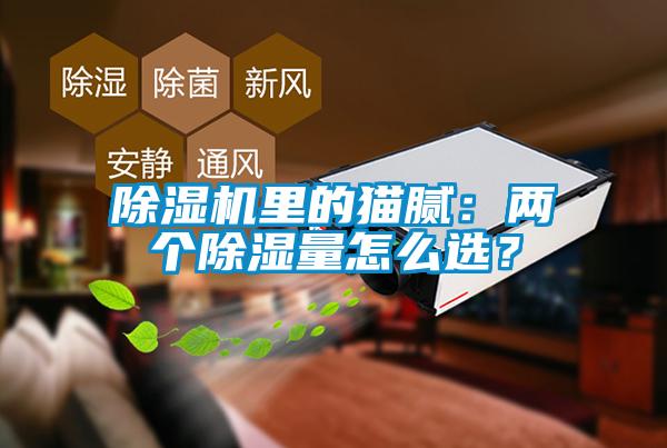 除濕機里的貓膩：兩個除濕量怎么選？