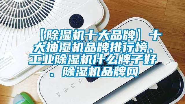 【除濕機十大品牌】十大抽濕機品牌排行榜、工業除濕機什么牌子好、除濕機品牌網