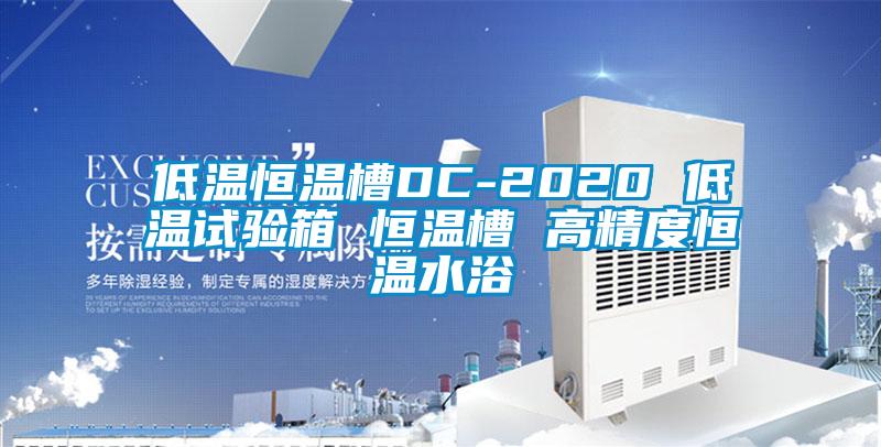 低溫恒溫槽DC-2020 低溫試驗箱 恒溫槽 高精度恒溫水浴