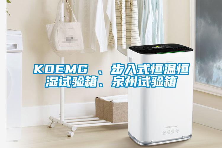 KOEMG 、步入式恒溫恒濕試驗箱、泉州試驗箱