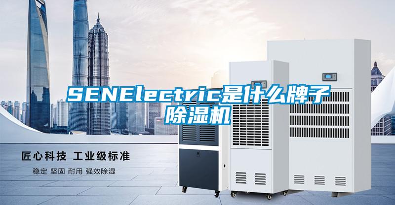 SENElectric是什么牌子除濕機