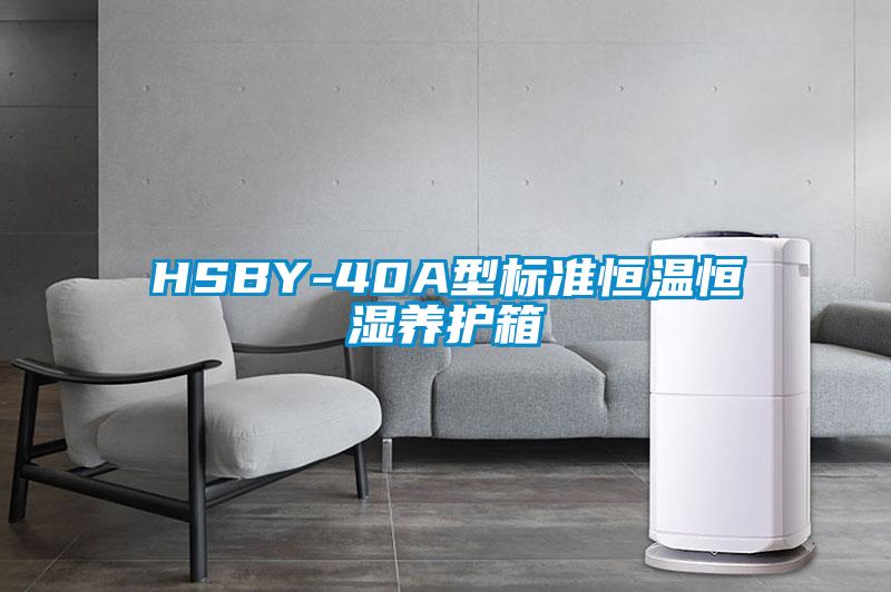 HSBY-40A型標準恒溫恒濕養護箱