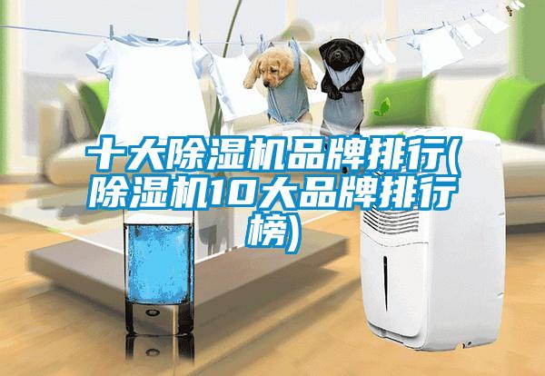 十大除濕機品牌排行(除濕機10大品牌排行榜)