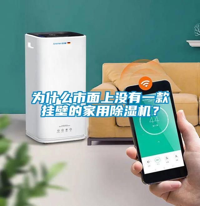 為什么市面上沒有一款掛壁的家用除濕機？