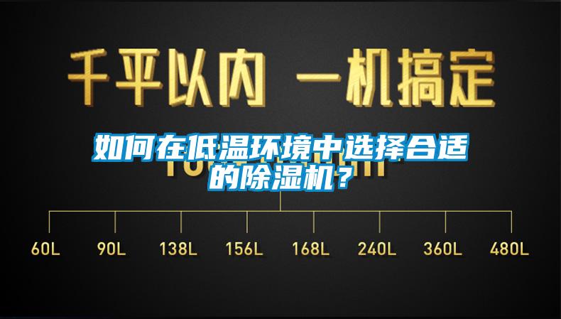 如何在低溫環境中選擇合適的除濕機？