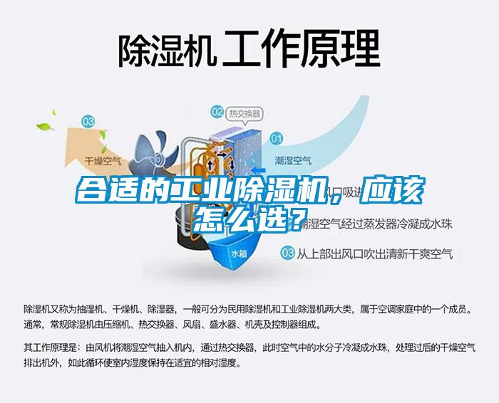 合適的工業除濕機，應該怎么選？