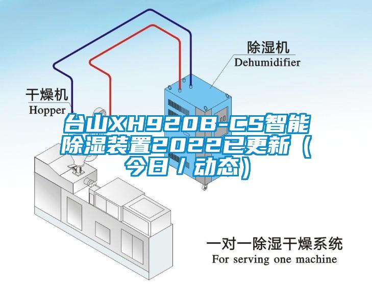 臺(tái)山XH920B-CS智能除濕裝置2022已更新（今日／動(dòng)態(tài)）