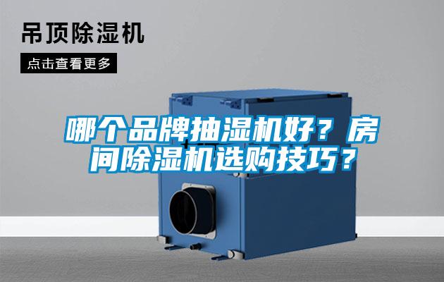 哪個品牌抽濕機好？房間除濕機選購技巧？