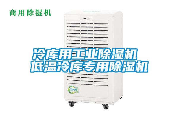 冷庫用工業(yè)除濕機 低溫冷庫專用除濕機