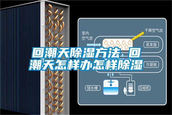 回潮天除濕方法 回潮天怎樣辦怎樣除濕