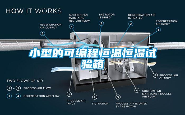 小型的可編程恒溫恒濕試驗箱