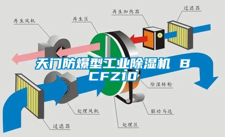 天門防爆型工業除濕機 BCFZ10