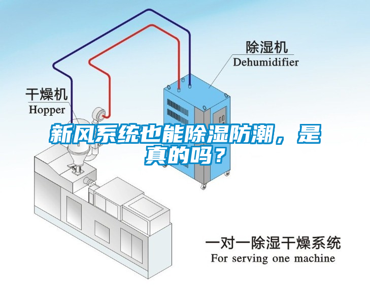 新風系統也能除濕防潮，是真的嗎？