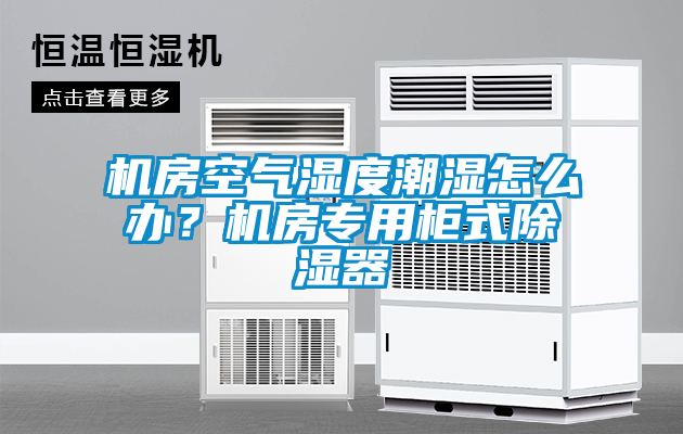 機房空氣濕度潮濕怎么辦？機房專用柜式除濕器