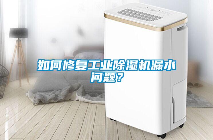 如何修復工業除濕機漏水問題？