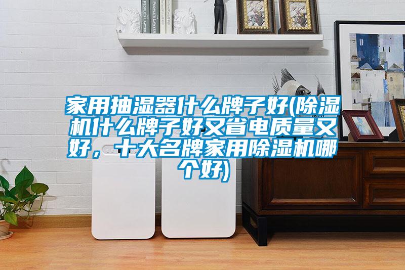 家用抽濕器什么牌子好(除濕機什么牌子好又省電質量又好，十大名牌家用除濕機哪個好)