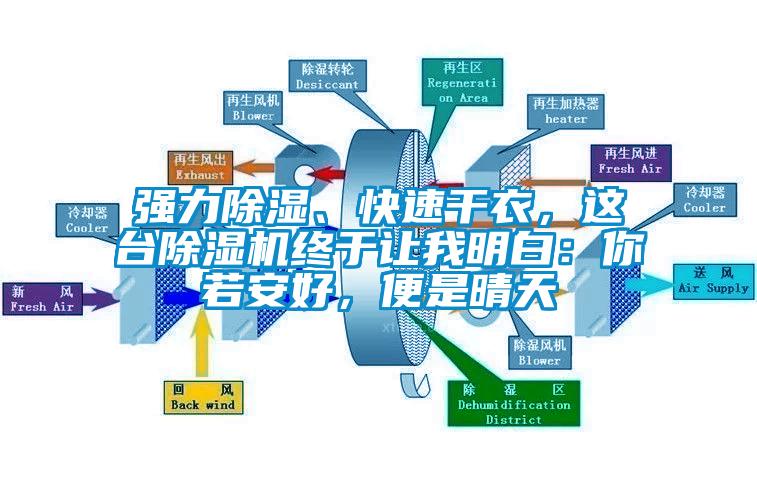 強力除濕、快速干衣，這臺除濕機終于讓我明白：你若安好，便是晴天