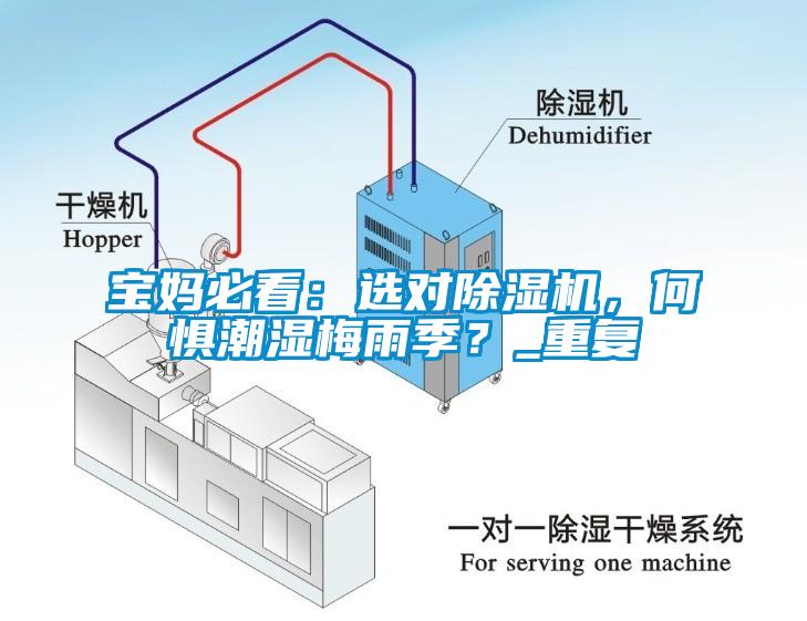 寶媽必看：選對除濕機，何懼潮濕梅雨季？_重復