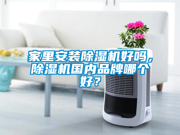 家里安裝除濕機好嗎，除濕機國內品牌哪個好？