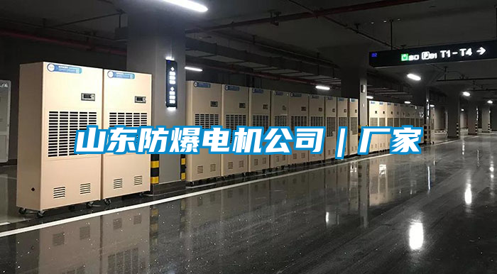 山東防爆電機公司｜廠家