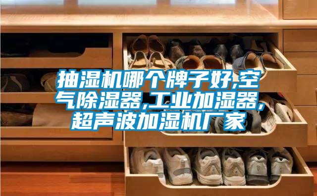 抽濕機哪個牌子好,空氣除濕器,工業加濕器,超聲波加濕機廠家