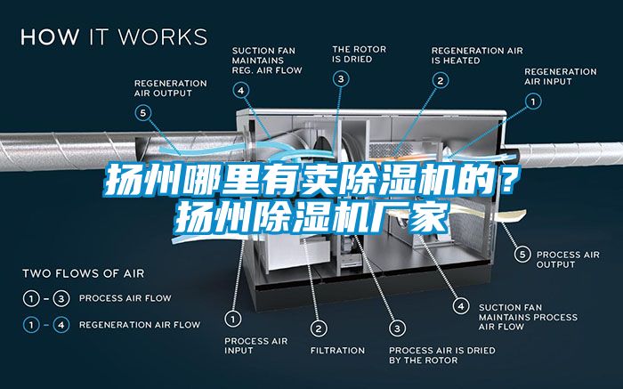 揚州哪里有賣除濕機的？揚州除濕機廠家