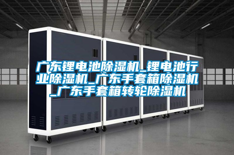 廣東鋰電池除濕機_鋰電池行業除濕機_廣東手套箱除濕機_廣東手套箱轉輪除濕機