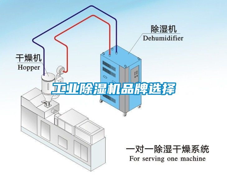 工業(yè)除濕機(jī)品牌選擇