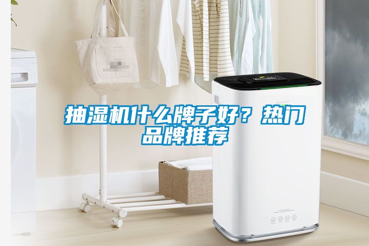 抽濕機(jī)什么牌子好？熱門品牌推薦