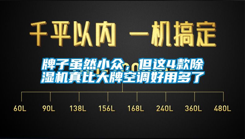 牌子雖然小眾，但這4款除濕機真比大牌空調好用多了