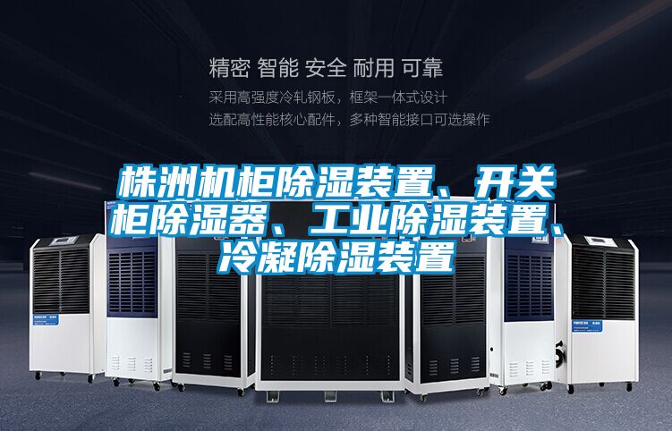 株洲機柜除濕裝置、開關柜除濕器、工業(yè)除濕裝置、冷凝除濕裝置