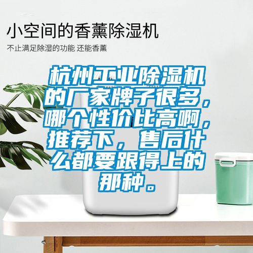 杭州工業除濕機的廠家牌子很多，哪個性價比高啊，推薦下，售后什么都要跟得上的那種。