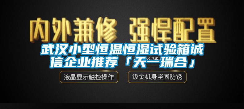 武漢小型恒溫恒濕試驗(yàn)箱誠信企業(yè)推薦「天一瑞合」