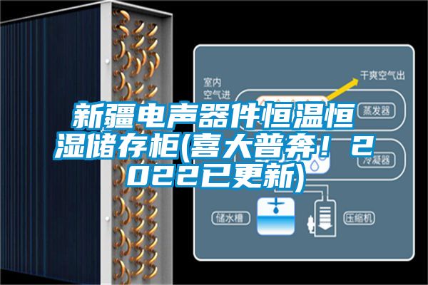 新疆電聲器件恒溫恒濕儲(chǔ)存柜(喜大普奔！2022已更新)